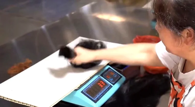 A worker placing hair on a digital scale at VAYORA’s Xuchang manufacturing partner facility.